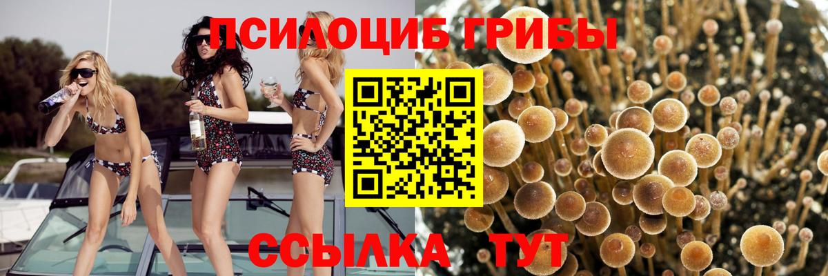 Луховицы  Галлюциногенные грибы мицелий  Галлюциногенные грибы Magic Shrooms  Вход с VPN 